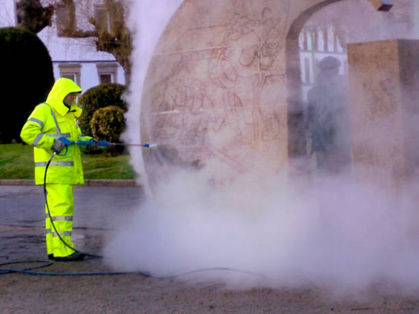 Best House Pressure Washing  in Winterset, IA